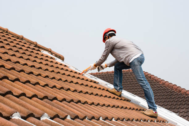 Best Roof Coating Services  in Bellevue, WA